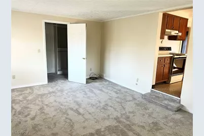 213 Genoa Avenue SW, Massillon, OH 44646 - Photo 26