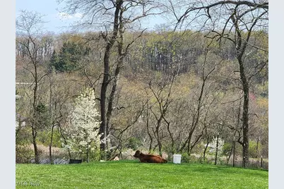 1170 Dillworth Road, East Liverpool, OH 43920 - Photo 2