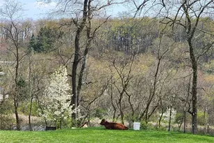 1170 Dillworth Rd, East Liverpool, OH 43920 - Photo 2