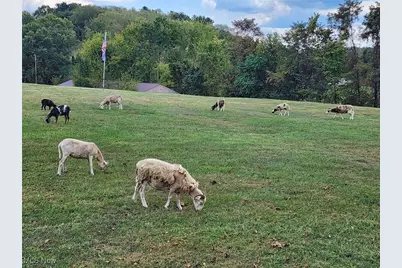 1170 Dillworth Road, East Liverpool, OH 43920 - Photo 18