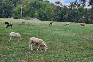 1170 Dillworth Rd, East Liverpool, OH 43920 - Photo 18