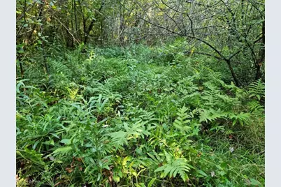 14700 Rock Creek Road, Chardon, OH 44024 - Photo 4