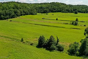 1728 Tall Timber Rd NE, New Philadelphia, OH 44663 - Photo 38