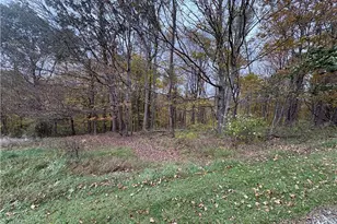 33855 State Route 800, New Matamoras, OH 45767 - Photo 30