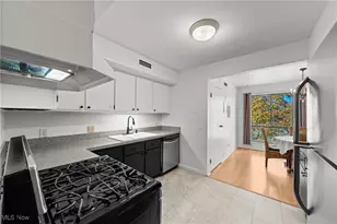 1105 Canyon View Rd, Northfield, OH 44067 - Photo 10