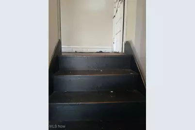 475 E 118th Street, Loveland, OH 44108 - Photo 8