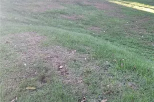 128 Leech St, Weirton, WV 26062 - Photo 34