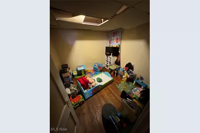 12510 Locke Avenue, Loveland, OH 44108 - Photo 10