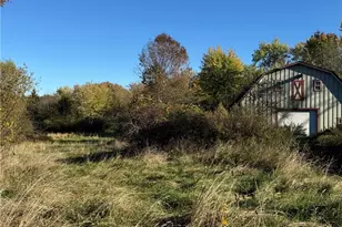 4589 Alger Rd, Richfield, OH 44286 - Photo 10