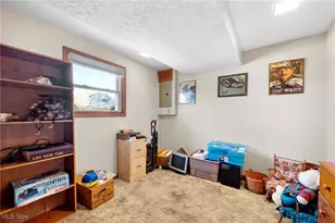 1280 Meadowview Ln, Amherst, OH 44001 - Photo 10