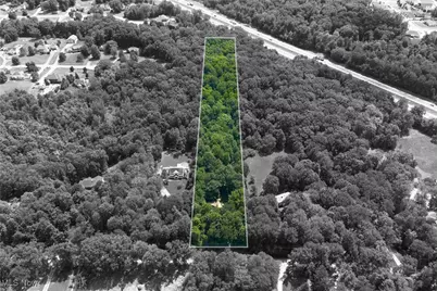 6343 Gibson Road, Canfield, OH 44406 - Photo 4