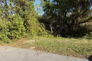 2069 Penguin Ave, Akron, OH 44319 - Photo 4