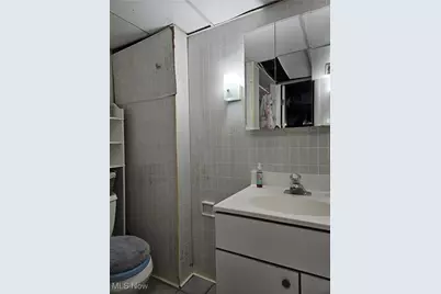 13616 Oakview Boulevard, Loveland, OH 44125 - Photo 34