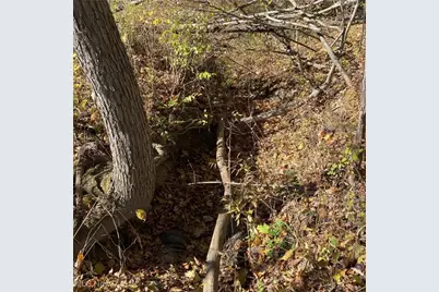 Shaw Road, Spencer, OH 44275 - Photo 10