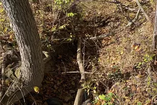 Shaw Rd, Spencer, OH 44275 - Photo 10