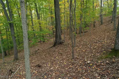 731 Riffle Run Road, Grantsville, WV 26147 - Photo 24