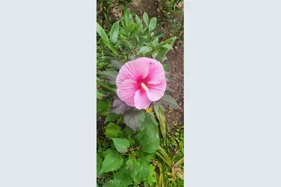 4018 Windsor Road, Boardman, OH 44512 - Photo 40