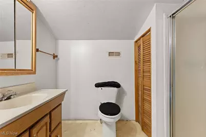 53525 Somerton Highway, Jerusalem, OH 43747 - Photo 38