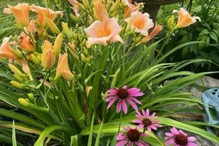 1525 Spruce Hill Dr, Stow, OH 44224 - Photo 38