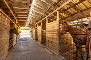 3637 Old Forge Rd, Rootstown, OH 44272 - Photo 18