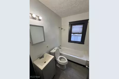 1092 E 143rd Street, Loveland, OH 44110 - Photo 6