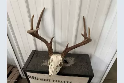 32015 Township Road 368, Walhonding, OH 43843 - Photo 50