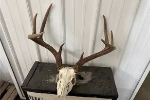 32015 Township Rd 368, Walhonding, OH 43843 - Photo 50