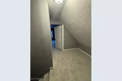 7210 Central Avenue, Loveland, OH 44104 - Photo 26