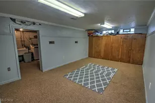 3334 W 155th St, Loveland, OH 44111 - Photo 50