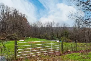 435 Croston Rd, Chesterhill, OH 43787 - Photo 42