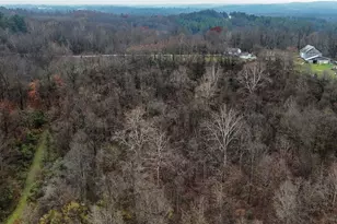 435 Croston Rd, Chesterhill, OH 43787 - Photo 26