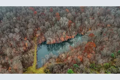 435 Croston Road, Chesterhill, OH 43787 - Photo 38