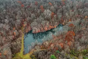 435 Croston Rd, Chesterhill, OH 43787 - Photo 38