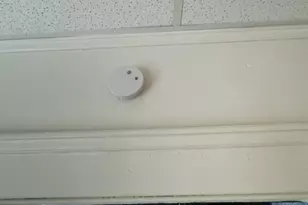 11117 Melba Ave, Loveland, OH 44104 - Photo 44