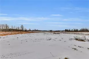 7662 Springfield Dr, Valley City, OH 44280 - Photo 6