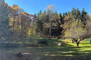 11131 State Route 44, Mantua, OH 44255 - Photo 42