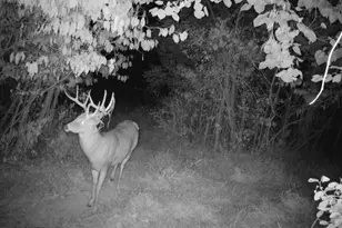 35447 Co Rd 99, Warsaw, OH 43844 - Photo 26