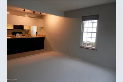 8080 Harbor Creek Drive #1103, Mentor on the Lake, OH 44060 - Photo 4