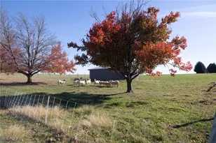 2057 State Route 89, Jeromesville, OH 44840 - Photo 24