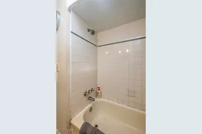 14203 Tabor Avenue, Loveland, OH 44137 - Photo 2