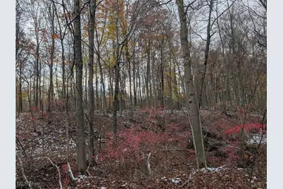 Greenwich Road, Lodi, OH 44254 - Photo 2