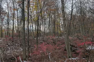 Greenwich Rd, Lodi, OH 44254 - Photo 2