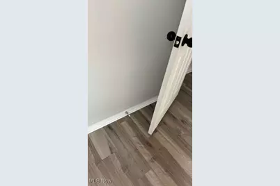 1651 Mentor Avenue, Painesville, OH 44077 - Photo 18