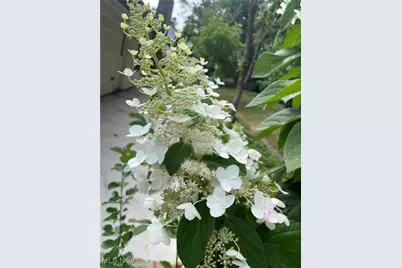 294 South Park Drive, Aurora, OH 44202 - Photo 42