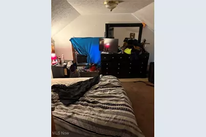 1194 Diagonal Road, Akron, OH 44320 - Photo 14