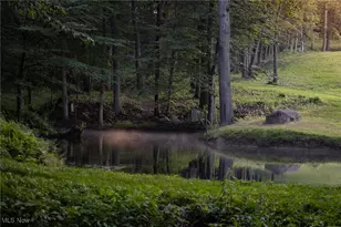 112 State Route 95, Jeromesville, OH 44840 - Photo 24