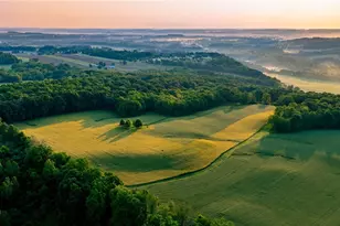 112 State Route 95, Jeromesville, OH 44840 - Photo 28