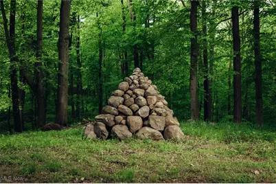 112 State Route 95, Jeromesville, OH 44840 - Photo 26