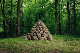 112 State Route 95, Jeromesville, OH 44840 - Photo 26