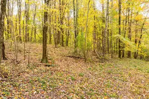 968 Township Road 2506, Perrysville, OH 44864 - Photo 34